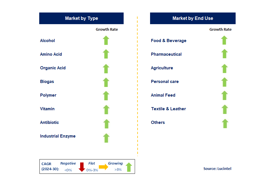 Fermentation Product by Segment